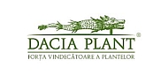 Dacia plant