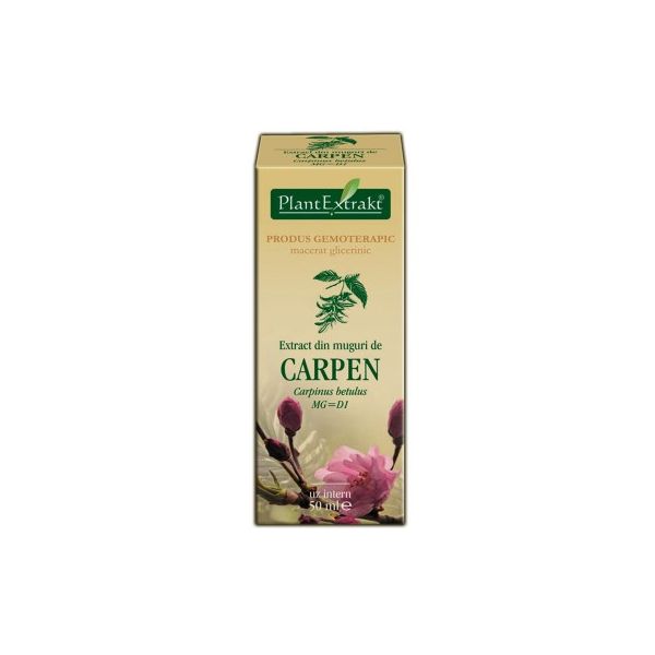 Extract din muguri de Carpen
