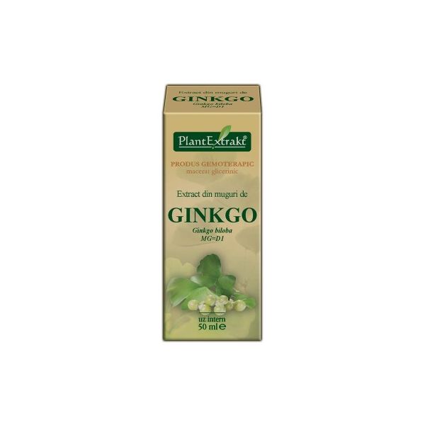 Extract din muguri de Ginkgo