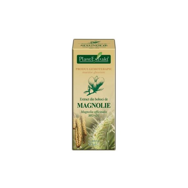 Extract din boboci de Magnolie