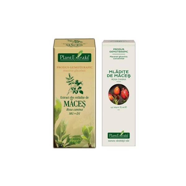 Extract din mladite de Maces 50 ml