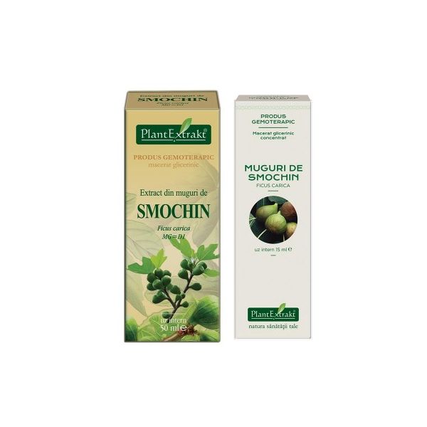 Extract din muguri de Smochin