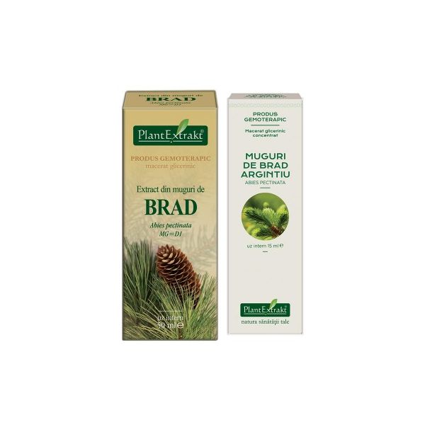 Extract din muguri de Brad 50 ml