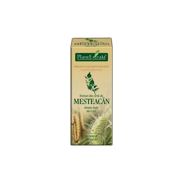 Extract din Seva de Mesteacan