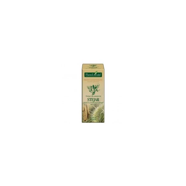 Extract din amenti de Stejar
