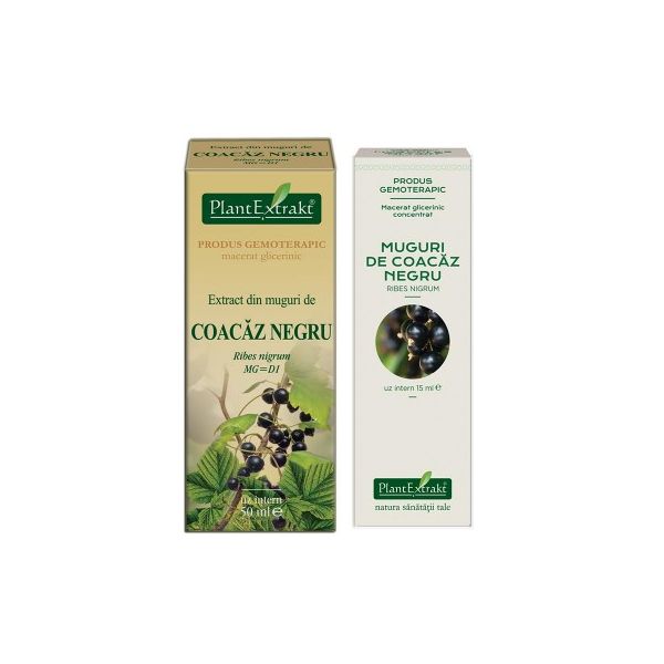 Extract din muguri de Coacaz Negru 50 ml