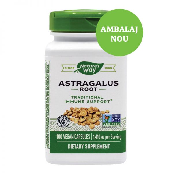 Astragalus