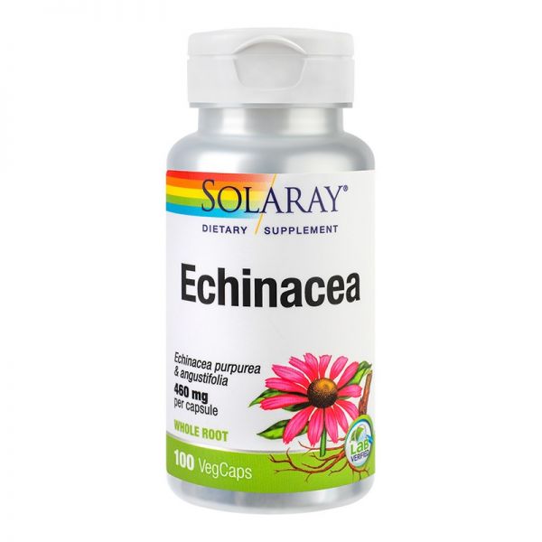 Echinacea