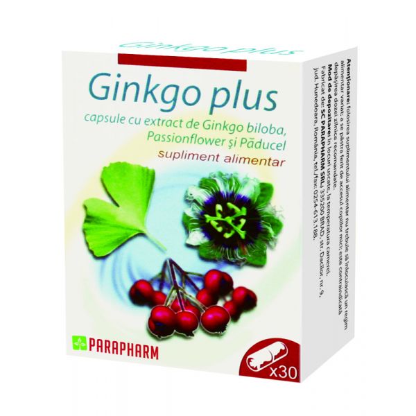 Ginkgo plus