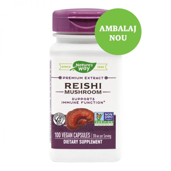 Reishi